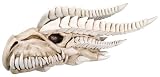 Dragon Skull Collectible Skeleton Serpent Figurine Statue Sculpture
