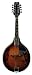 JB Player Electric Mandolin