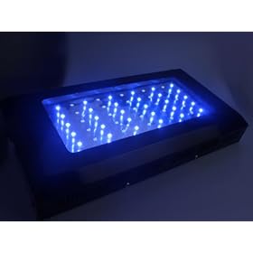 TaoTronic 120w 55 LED Aquarium Coral Light Blue White Plant Grow Fish Light