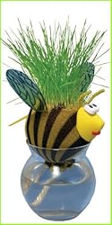 Grow-A-Head Bugs Bee