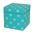 Kid's Polka Dot Storage Ottoman - Turquoise