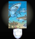 Review Decoration Sensation  / Shark Cove Decorative Night Light