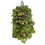 Gardman Grow It Hanging Strawberry Planter Twin Pack 9128