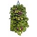 Gardman Grow It Hanging Strawberry Planter Twin Pack 9128