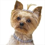 Starlet Dog Necklace in Crystal