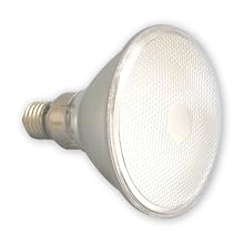 Light Efficient Design LED-1671 E27 Base 120-Volt 4-Watt 70-LED Bulb, Soft White