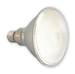 4 Watt 120 Volt PAR30 Medium Base LED Light bulbs, SOFT WHITE