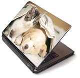 Review Kesa Design  / Brave kitten - Toshiba Lapjacks skin to fit 15