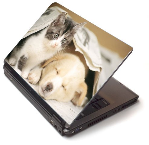 Brave kitten - Toshiba Lapjacks skin to fit 17 Laptops