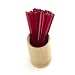 Triangular Prism 3.5" Plastic Picks 300pc - Red image 3
