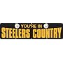 NFL 8 Ft x 2Ft Banner Your in Steeler's Country Black Ground
