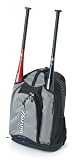 Mizuno Organizer Batpack (Silver/Black)