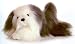 Stuffed Sheep Dog