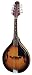 Musical Instruments : Johnson MA-100 Lynchburg Mandolin