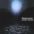 Razing the Sun