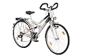 Texo Damen Fahrrad (622 mm) Trekking Fully 21-Gang Shimano Kettenschaltung