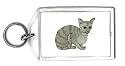 Keychain with kitten, abyssinian, cat, feline
