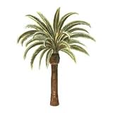 Palm Tree palmtree wallpaper cut out border wall decor