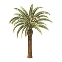Palm Tree palmtree wallpaper cut out border wall decor