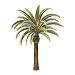 Palm Tree palmtree wallpaper cut out border wall decor