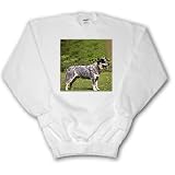 Dogs Australian Cattle - Australian Cattle Dog - Sweatshirts