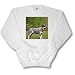 Dogs Australian Cattle - Australian Cattle Dog - Sweatshirts