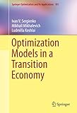 Optimization models in a transition economy