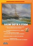 Sailing Ship in a Storm
