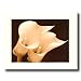 Art Prints Incorporated