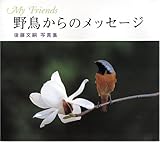 野鳥からのメッセージ―後藤文嗣写真集