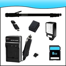 Battery and Charger Essential Accessory Package Combo Kit for Canon VIXIA HFM50/HFM500/HFM52/HFR30/HFR300/HFR32 Full HD Camcorders includes BP727 Battery + BP727 Charger + 8GB SD Memory Card + USB SD Card Reader + Video Light Kit + Monopod