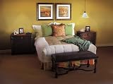 Westinghouse Lighting 7028500 Single-Light Mini-Pendant Kit with Oil-Rubbed Bronze Finish