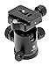 Benro B1 Double Action Ballhead
