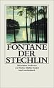 Der Stechlin (insel taschenbuch)