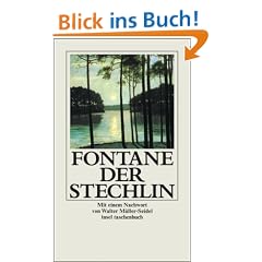 Der Stechlin (insel taschenbuch)