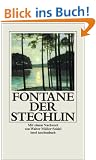 Der Stechlin (insel taschenbuch)
