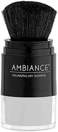 Ambiance Cosmetics Volumizing Dry Shampoo with Brush Applicator