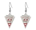 Tampa Bay Buccaneers Dangle Earrings - NFL Football Fan Shop Sports Team Merchandise