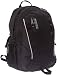 JanSport Adventure Series Agave Backpack