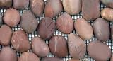 Agate Honed Pebbles & Stones Brown Anatolia Pebble Tiles Tumbled Natural Stone Tile - 13980