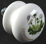 Portmeirion Botanic Garden Drawer/Cabinet Pull/Knob, Fine China Dinnerware