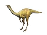 Galliminus the Dinosaur - 24