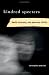 Kindred Specters: Death, Mourning, and American Affinity