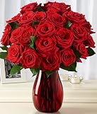 One Dozen Red Roses + 12 FREE by Proflowers Best Prices