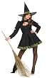 Totally Wicked Witch Costume - Womens Large 14-16