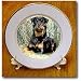 Rottweiler - 8 Inch Porcelain Plate