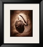 Cowrie Photography Framed Art Poster Print by Laurel Wade, 22x25
