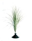 Review GKI/Bethlehem Lighting 100022020 / GKI Bethlehem Lighting 30-Inch Fiber Optic Sea Grass, Battery Operated