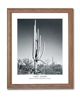 Ansel Adams B/W Photo Cactus Landscape Home Decor Wall Picture Oak Framed Art Print