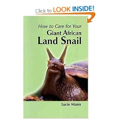 How to Care for Your Giant African Land Snail (Your first...series)